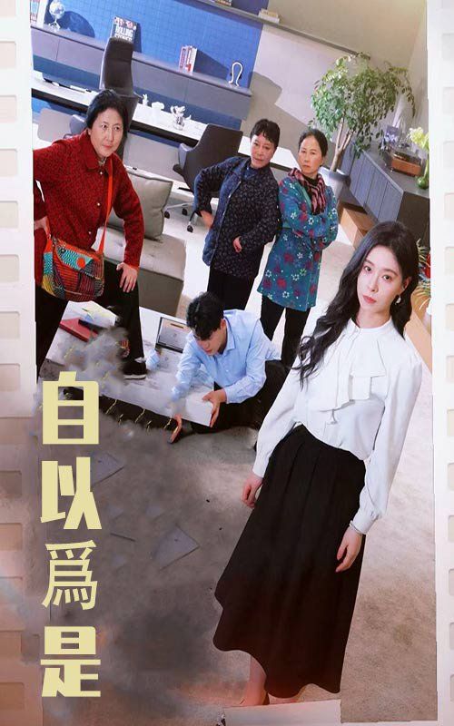 自以为是第1-20集