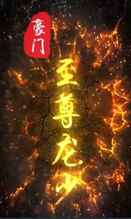 豪门至尊龙少第1-20集