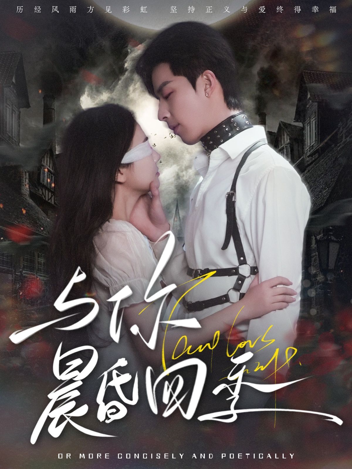 与你晨昏四季第1-20集