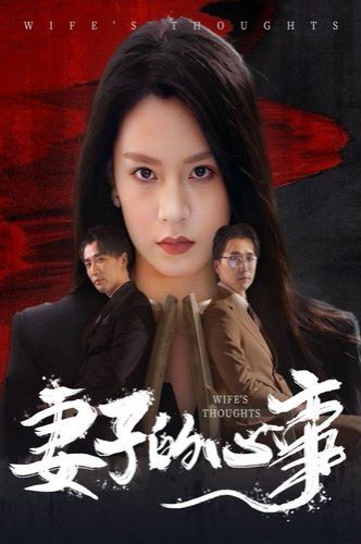 妻子的心事第1-60集完结(大结局)