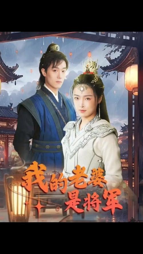 我的老婆是将军第21-40集