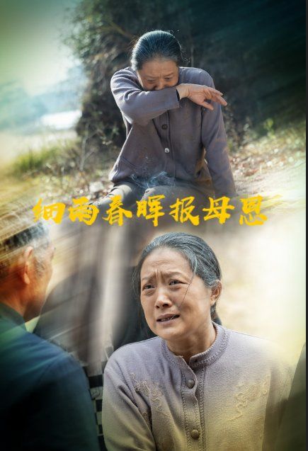细雨春晖报母恩全集完结(大结局)