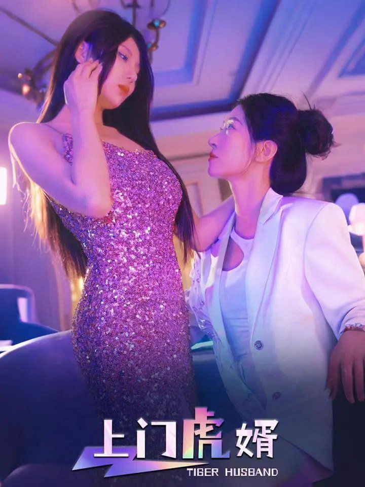 上门虎婿第1-30集