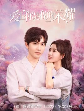 爱上你是我的荣耀第21-40集