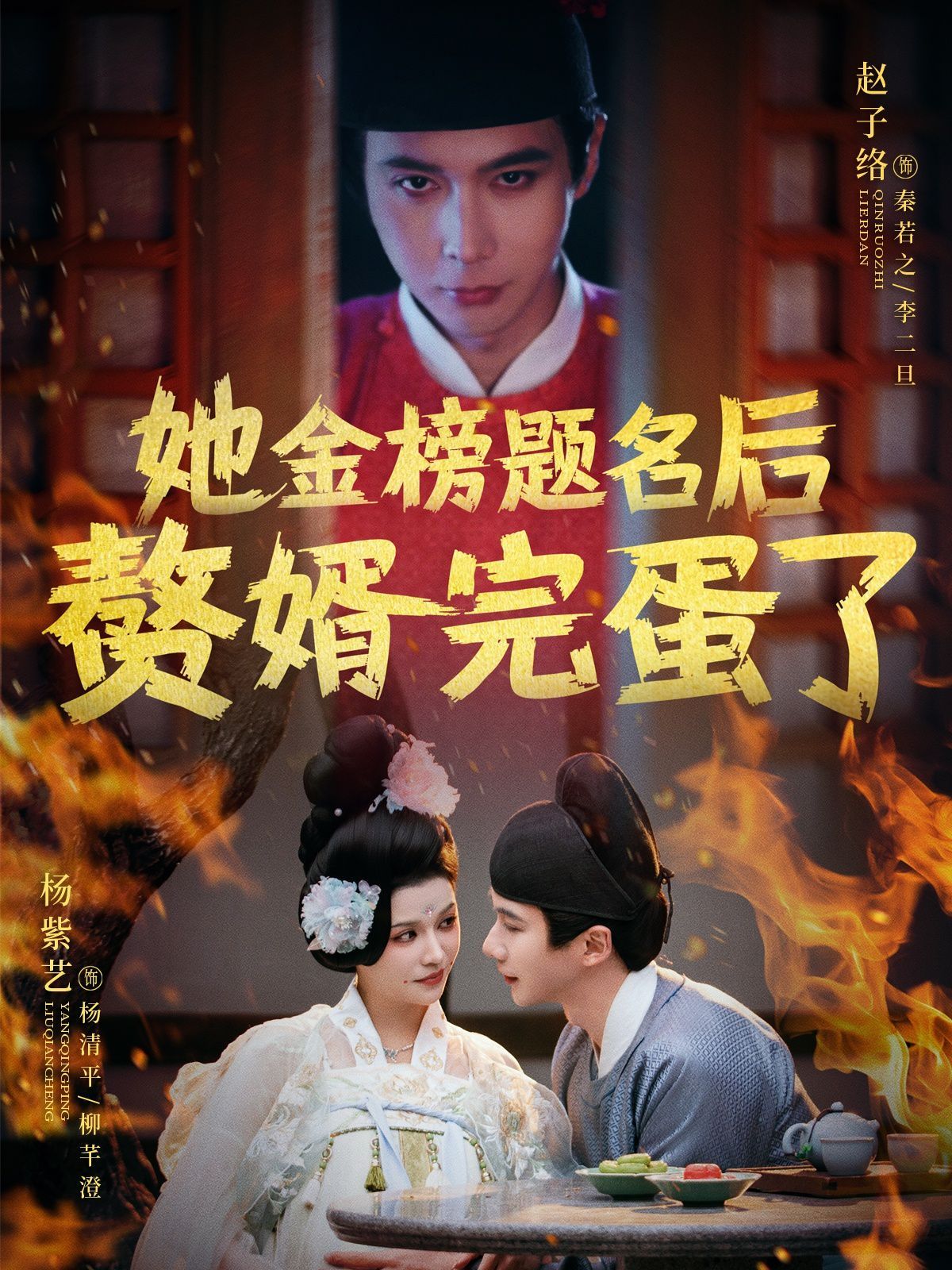 她金榜题名后赘婿完蛋了第1-20集