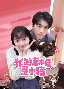 我的老板是小猪第07集