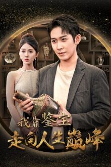 我靠鉴宝走向人生巅峰第1-20集