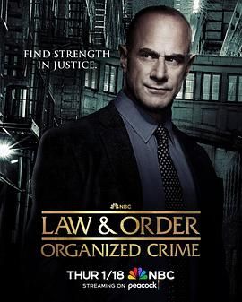 法律与秩序：组织犯罪 第四季第9集