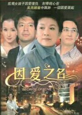 因爱之名HD中字