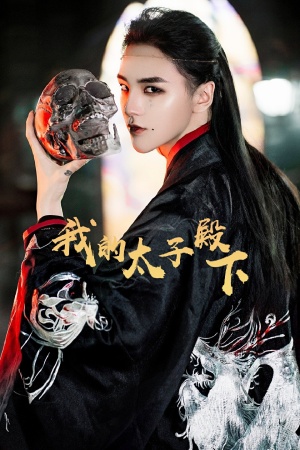 我的太子殿下第02集