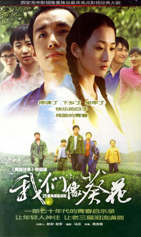 我们像葵花第21集