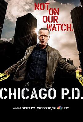 芝加哥警署第五季第22集(大结局)