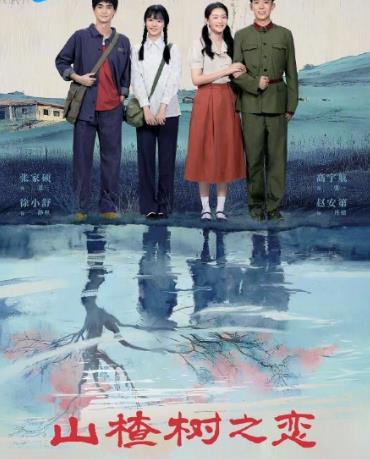 山楂树之恋2025第07集